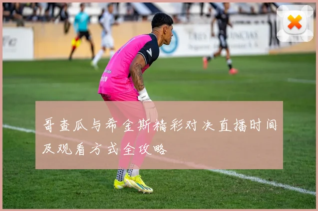 哥查瓜与希金斯精彩对决直播时间及观看方式全攻略