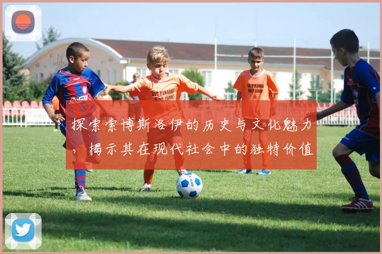 探索索博斯洛伊的历史与文化魅力，揭示其在现代社会中的独特价值与意义