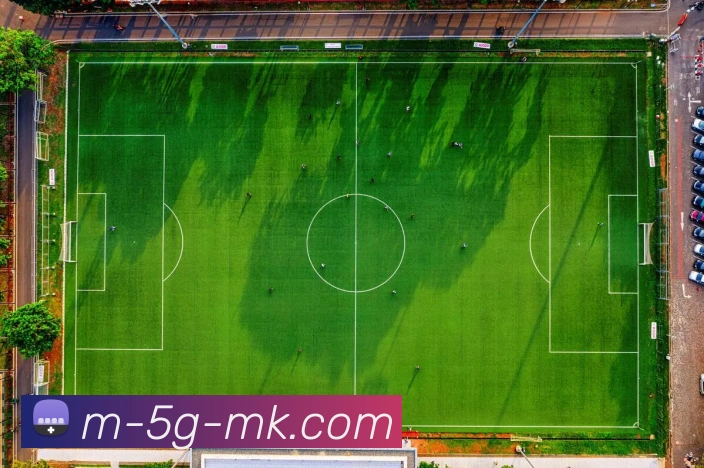 MK体育APP 封面图